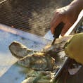 モロベイ(カリフォルニア)

海沿いのジョヴァンニ・フィッシュ・マーケット(Giovanni’s Fish Market)の店先で買える、牡蠣の炭焼き。

いろいろな調味料が並べてあるので好きなものをかけて、出来立てをスナック感覚でその場で頂けるのが人気。牡蠣はいつでも別腹。

#morrobay #california #oyster #giovannisfishmarket