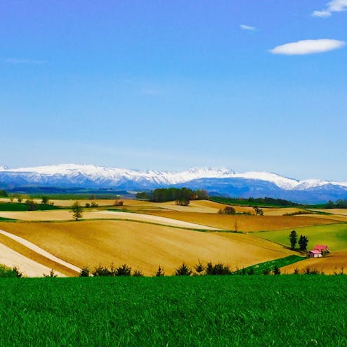 赤い屋根のある丘(赤い屋根の家)
