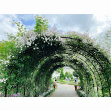 見附イングリッシュガーデン