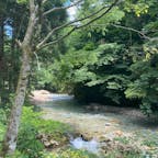 円原川の伏流水（岐阜）にて