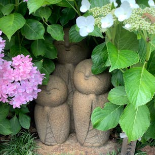 紫陽花の中に良縁地蔵
鎌倉の観光案内のパンフレットにも使われていました。