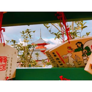 今日　地主神社　縁結び