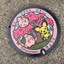 円山公園

「ポケふた」これ最近設置されたと思います。12月には無かったですから。