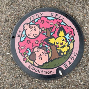 円山公園

「ポケふた」これ最近設置されたと思います。12月には無かったですから。