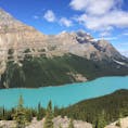 🇨🇦カナダ🇨🇦バンフのペイトーレイク！
綺麗なエメラルドグリーンの湖☺️天候や岩粉の量で色も変わるそう✨
#バンフ　
#ペイトーレイク
#カナダ