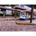 路面電車！全国どのぐらいなんだろうね路面電車あるのって