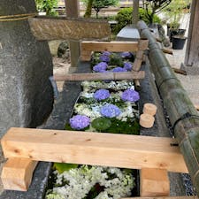 京都花手水　上賀茂神社

#サント船長の写真　#京都　#花と水の京都