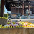 京都花手水　金戒光明寺

しかし、此の花手水を担当する花屋さんは花の入れ替えに大変だね😓

#サント船長の写真　#京都　#花と水の京都