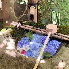 〰️Kyoto🇯🇵〰️
#柳谷観音#楊谷寺#花手水#花と水の京都