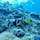 海の中
ダイビング
沖縄
青の洞窟