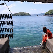 日本のベネツィア伊根の舟屋☀️