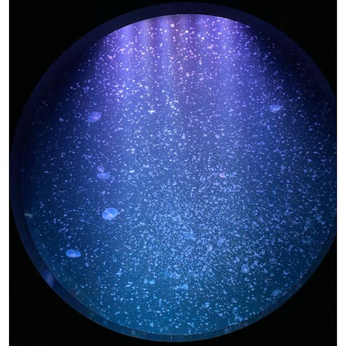 鶴岡市立加茂水族館