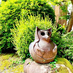 五個荘近江商人屋敷の陶狸