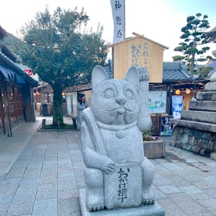 運を招いてくれる招き猫

#像