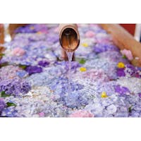 鎌倉　鶴岡八幡宮