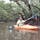 マンググーロブ原始林　奄美大島
奄美大島のマングローブの密林ですが、余りピ〜ンと来ませんでした。

#サント船長の写真　#奄美大島