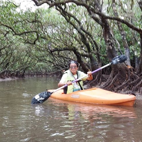 マングローブ原生林