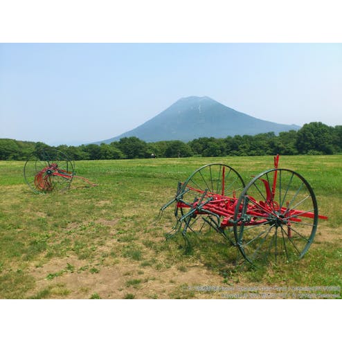 ニセコ高橋牧場