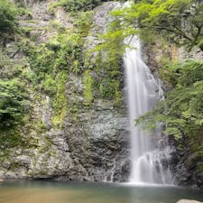 〰️Osaka🇯🇵〰️ 
#箕面#箕面の滝#箕面大滝