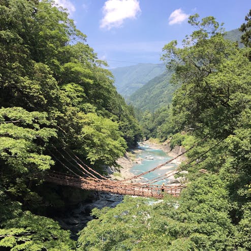 祖谷のかずら橋