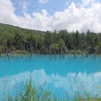青い池

北海道 美瑛町

鮮やかなブルーに心惹かれる。
空さえ反射する景色。