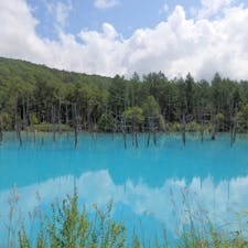 青い池

北海道 美瑛町

鮮やかなブルーに心惹かれる。
空さえ反射する景色。