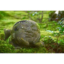 大原三千院。時間が穏やかに流れていて気持ちが安らぐ場所です。