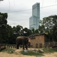 天王寺動物園[大阪]

入園料は安いのに結構たくさんの動物もいて楽しめた☆

このハルカスと象がすごくいい感じ^ ^