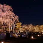 東寺

京都府

夜桜ライトアップが素敵。
人もあまり少ないときもあり、この景色を独占できることも。