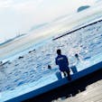 2021.6.23 in 香川 四国水族館

イルカのトレーニング風景(^^)