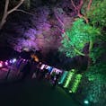 夜桜🌠🌸

◎須磨浦公園◎