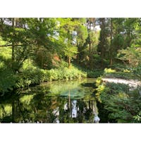 白川水源
#202106 #s熊本