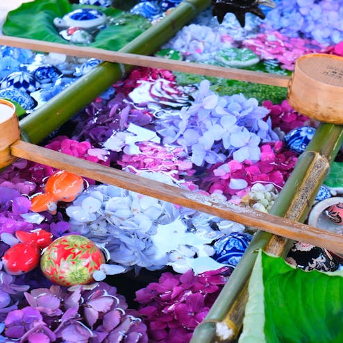 柳谷観音（楊谷寺）