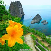 ニセコ積丹小樽海岸国定公園に指定されている積丹（しゃこたん）半島。複雑に入り組んだ海岸線が風光明媚な景観を作り出し、透き通った碧い海は「積丹ブルー」と称され観光客の目を楽しませています。島武意（しまむい）海岸は積丹半島のなかで唯一波打ち際まで歩いて降りていくことができる砂浜海岸。初夏には鮮やかなオレンジ色が美しいエゾカンゾウが咲きます。#北海道 #積丹 #島武意海岸