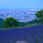 札幌の夜景とラベンダーが同時に楽しめる唯一のスポット「幌見（ほろみ）峠ラベンダー園」。日が沈む前の夕暮れ時から訪れ、明るいうちはラベンダーを、日が落ちてからは夜景を楽しむのがオススメです♪車に乗ったまま眺望を楽しむことが出来るので、肌寒い日や少々風の強い日でも気兼ねなくお出かけできます！#北海道 #札幌 #幌見峠ラベンダー園