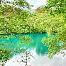 五色沼
エメラルドグリーンの湖面にうっとり❣️



#福島県