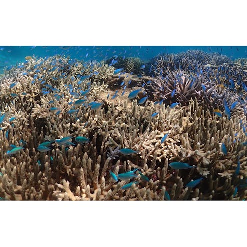 宮古島市・宮古島