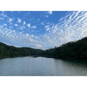 東ヶ丘公園にある溜池
自然が豊かでとても気持ちが良かった
朝の散歩コースに最適