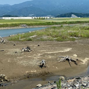 公園内震災遺構
この辺一帯は松が7万本の防風林かな、コレが津波で無くなりました。

#サント船長の写真　#東日本震災