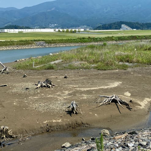 高田松原津波復興祈念公園