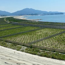 高田松原津波復興祈念公園

#サント船長の写真　#東日本震災