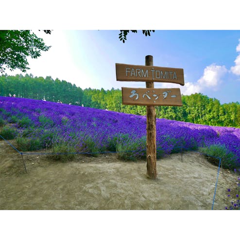 ファーム富田