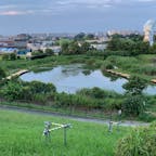松戸市にある
ハートの形の池♥️