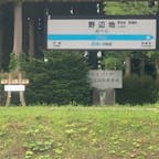 日本最古の防風林(野辺地)

#サント船長の写真　#下北半島　#日本最古　#青森県