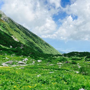 ミヤマキンポウゲ、ミヤマクロユリ、コバイケイソウ、ミヤマリンドウ…🌼
高山植物に詳しくなりました！
下山後のすずらん牛乳ソフトがご馳走☺️

#千畳敷カール