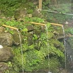 霊場恐山の冷水(ひやみず)
青森県むつ市金曲から北西方向へ向かい、薬研温泉を経由して北東方向、むつ市大畑町へと至る青森県道4号線は、途中、東北地方でも最大級のパワースポットであり、比叡山、高野山と並ぶ聖地の一つとして知られる「恐山」のそばを通ることから、通称「恐山街道」とも呼ばれる道路。市街地を抜けると林の中を通る一本道がくねりながら続いていく。走るにつれて、道のところどころに姿を現す石仏が、次第に恐山に近づいていることを教えてくれる。

そんな恐山街道を進むこと約15分、恐山まであと約4キロメートルほどの場所に見えてくるのが、「不老不死」「長寿」「若返り」の水として知られる「恐山の冷水」が湧き出している地点だ。

#サント船長の写真　#下北半島　　　　
#恐山