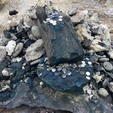 霊場恐山
賽の河原の小石が積み上げ、お賽銭が無数に有りますが、硫黄でお金は腐食して居ます、コレでは回収しても使い物に成りませね。

#サント船長の写真　#下北半島　#恐山　#青森県