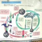 京都府立植物園
シヨクダイオオコンニヤクのサイクルですが、中々理解するのが難しいです。

#サント船長の写真　#京都府植物園　#シヨクダイオオコンニヤク
