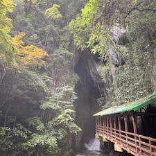 洞内入口の景観にまず感動！
中はひんやり🧊夏旅に最適

#秋芳洞　#山口の旅　#0歳子連れ旅