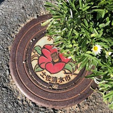 椿が可愛い土佐清水の水道の蓋